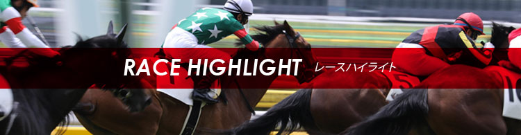 レースハイライト