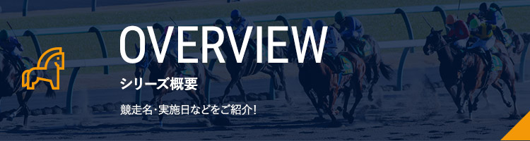 シリーズ概要
